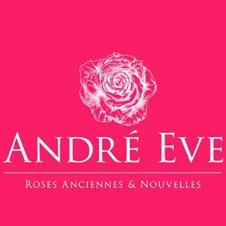 Partenaire de l'AS Rabajou - André Eve - Roses anciennes et Nouvelles